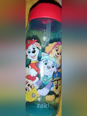 Paw Patrol Kids Water Bottle with Red Lid and Multicolor Characters